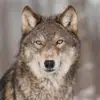 aaron.morin - @aaron.morin83 - TikTok