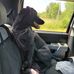 Aaron Moyer - Facebook