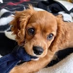 Aaron Mullin - @aaronmullintws - Instagram