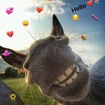 Aaron Mundambo - @aaron_mundambo - Instagram