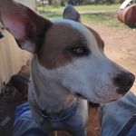 Aaron Munn - @bdm_nitro - Instagram