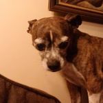 Aaron Munson - @aarondm2000 - Instagram