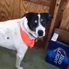 aaronmunson3 - @aaronmunson3 - TikTok