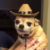 user1134 - @aaron_monter - TikTok