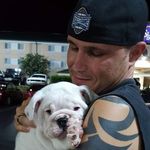 Aaron Murdock - @mojotherealbulldog - Instagram