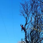 Aaron Murnane - @murnane_aaron - Instagram