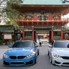 aaron Musti - @aaron.musti - TikTok