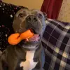aaronmutt - @aaronmutt - TikTok