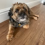 Aaron Myall - @aaron.75m - Instagram