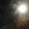 Amoada - @aaron.nadal.perez - TikTok