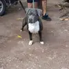 Aaron Najar - @www.tiktok.comaarondario - TikTok