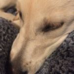 Aaron Nakashima - @aaron_nakashima01 - Instagram