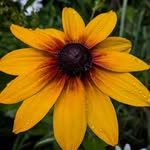 StirCrazy - @aaronnall1 - Instagram