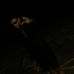 Aaron Newton - Facebook