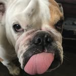 Aaron Null - @nully1978 - Instagram