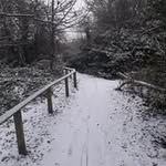 Aaron Ogden - @aaron613047 - Instagram