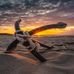 Aaron Orten - Facebook