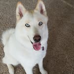 Aaron Ortwein - @aaronortwein72 - Instagram