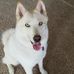 Aaron Ortwein - Facebook