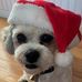Aaron Osborn - Facebook