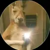 Oscar.@ngel😎 - @....oscaraaron14052013 - TikTok