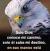 Aaron Osorio - Facebook