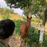 Aaron osorio - @aaronosorio59 - Instagram