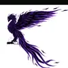aaron_ost - @aaron_ost - TikTok