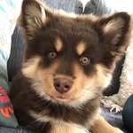 Aaron Östlund - @aaronostlund - Instagram