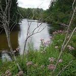 Aaron Ostrander - @aaronjostrander - Instagram