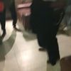 Aaron Osom - @aaronosom - TikTok