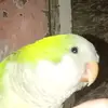 Aaron Osuna - @aaron.osuna52 - TikTok