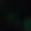 Aaron Otten - @aaron.otten - TikTok