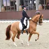 Amalie Cecilie Overg - @aovergaard - TikTok