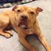 Aaron Overton - Facebook