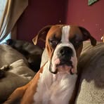 Aaron Overton - Facebook