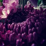 Aaron Overturf - @nature.lens_ - Instagram