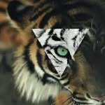 Aaron85 - @aaron.oziel.85 - Instagram