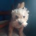 Aaron Pabón - Facebook