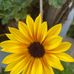 Yaron Buchnik - Facebook
