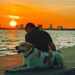 Aaron Paller - @aaronpaller - Instagram
