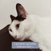 Aaron Pawley - Facebook