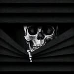 Aaron Palmieri - @ziggfridpalmieri - Instagram