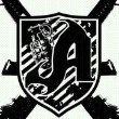 Aaron Palomares - @aaronpalomares - Instagram