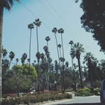 -.aaron-. - @itsaaronparadiseboi - Instagram