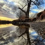 Aaron Pearse - @theforestandi - Instagram