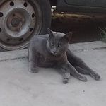 Aaron Pechocho - @aaronpechocho - Instagram