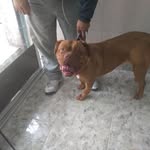 Aaron Escobedo - @aaronpecoro - Instagram