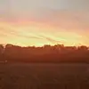 Aaron_pedersen - @aaron_pedersen - TikTok