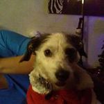 Aaron Pedroza - @aarons.p.h - Instagram